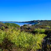 Hangover Bay
