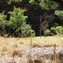 Mirima National Park, Kununurra