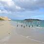 Hamelin Bay