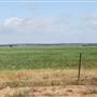 Merredin