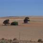 Kalbarri