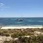 Rottnest Island