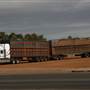 Wiluna