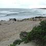 The Spot
