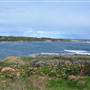 Gracetown