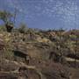 John Forrest National Park