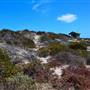 Abrolhos Islands - East Wallabi