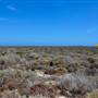 Abrolhos Islands - East Wallabi