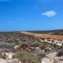 Abrolhos Islands - East Wallabi