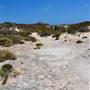 Abrolhos Islands - East Wallabi