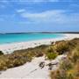 Abrolhos Islands - East Wallabi