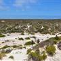 Abrolhos Islands - East Wallabi