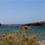 Cape Peron - Rockingham - from land