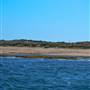 Garden Island - Goodwin Point - from water