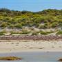 Garden Island - Gilbert Point - from water
