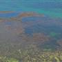 Garden Island - Point Atwick - Cray Bay