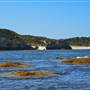 Garden Island - Calista Point - from water