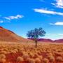 Millstream-Chichester National Park