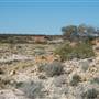 Mount Magnet landscapes
