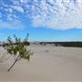Lancelin