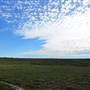 Lancelin