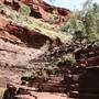Karijini National Park - Dales Gorge