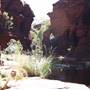 Karijini National Park - Kalamina Gorge
