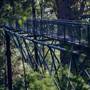 Valley of the Giants