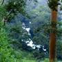 Pemberton - Warren National Park