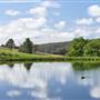Millbrook Winery