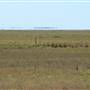 Broome Surrounds-Roads & Scrub