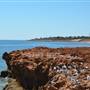 Port Hedland