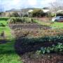 Albany - Strawberry Hill Farm