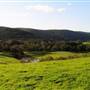 Nannup - Xmas Brook Farm