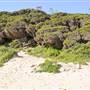 Injidup Beach & Cape Clairault