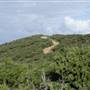 Shelley Beach & surrounds - West Cape Howe National Pk