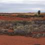 Goldfields Golf Club