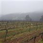 Drakesbrook Fine Wines Winery