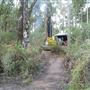 Lane Poole Reserve Dwellingup