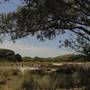 Wadjemup Rottnest Island - Overview