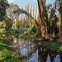 Karrinyup Wetlands