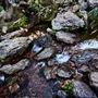 El Questro - Zebedee Springs