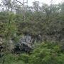 Mammoth Cave