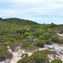 Garden Island -  Overview