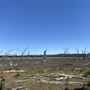 Dead Man's Swamp Nature Reserve