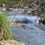 Nangip Creek