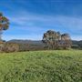 Craigendarroch, Porongurup