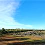 Craigendarroch, Porongurup