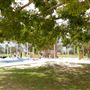 Queens Gardens