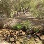 Lesmurdie Falls